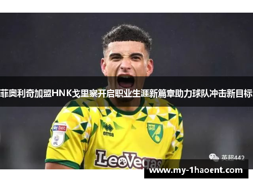 菲奥利奇加盟HNK戈里察开启职业生涯新篇章助力球队冲击新目标 菲奥利奇加盟HNK戈里察开启职业生涯新篇章助力球队冲击新目标
